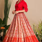 Meera IndoWestern Lehenga Set PC839N