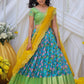 Vasudevi Pichwai Lehenga Set PC786N