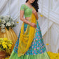 Vasudevi Pichwai Lehenga Set PC786N