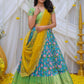 Vasudevi Pichwai Lehenga Set PC786N